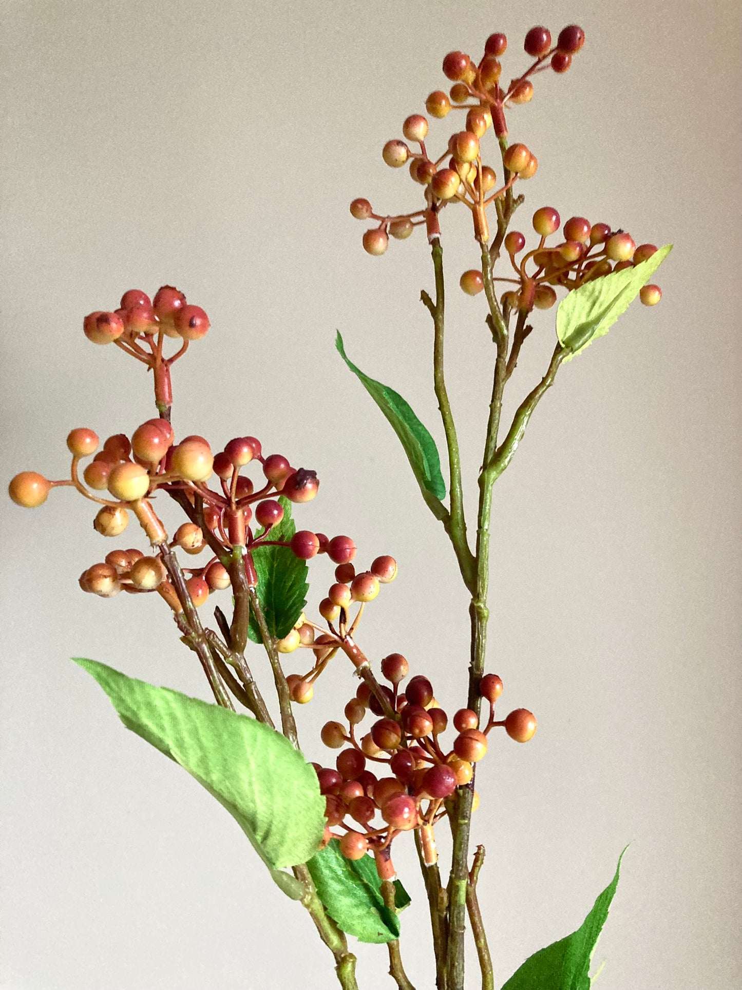 Orange Berry Stems