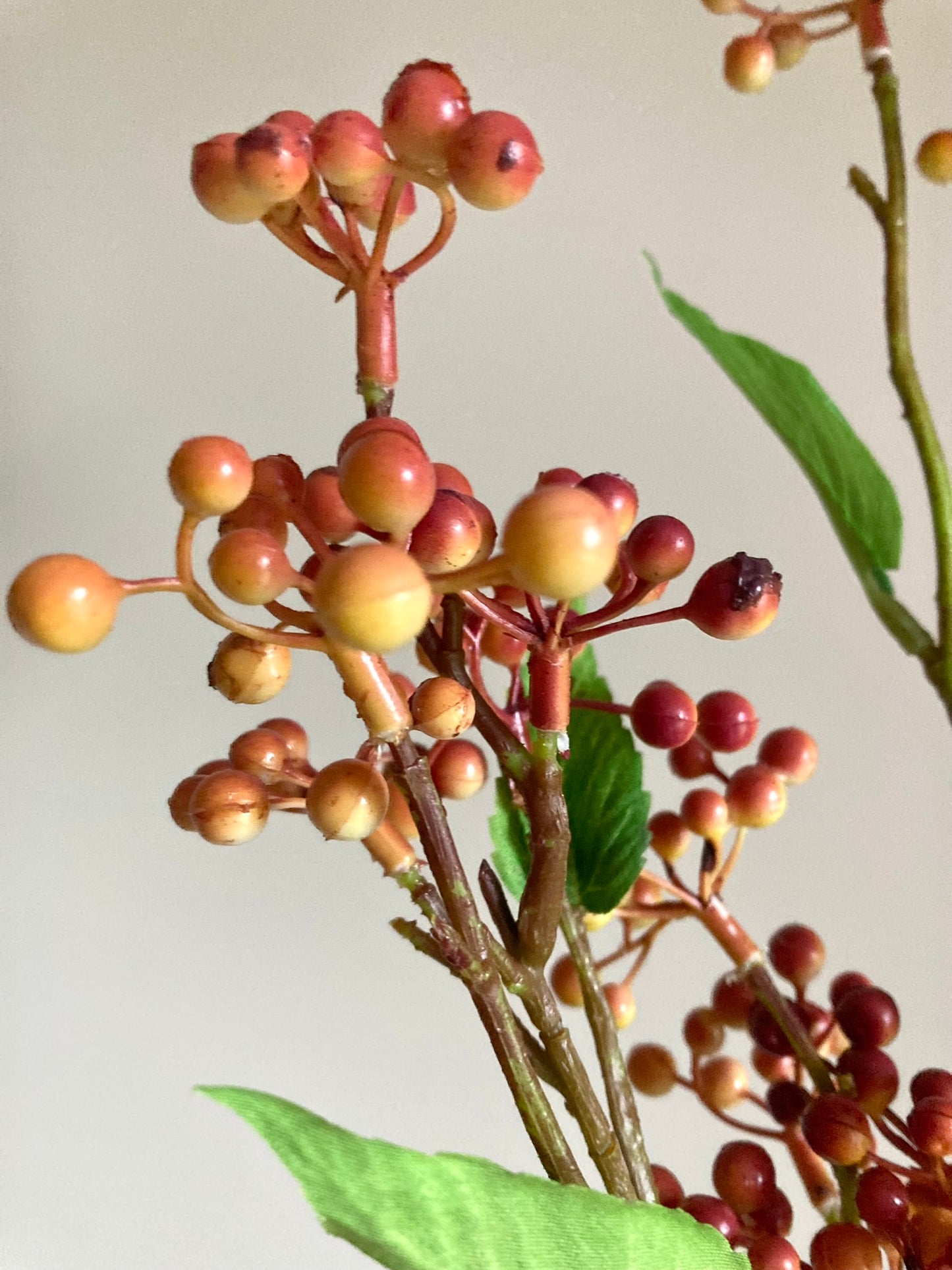 Orange Berry Stems
