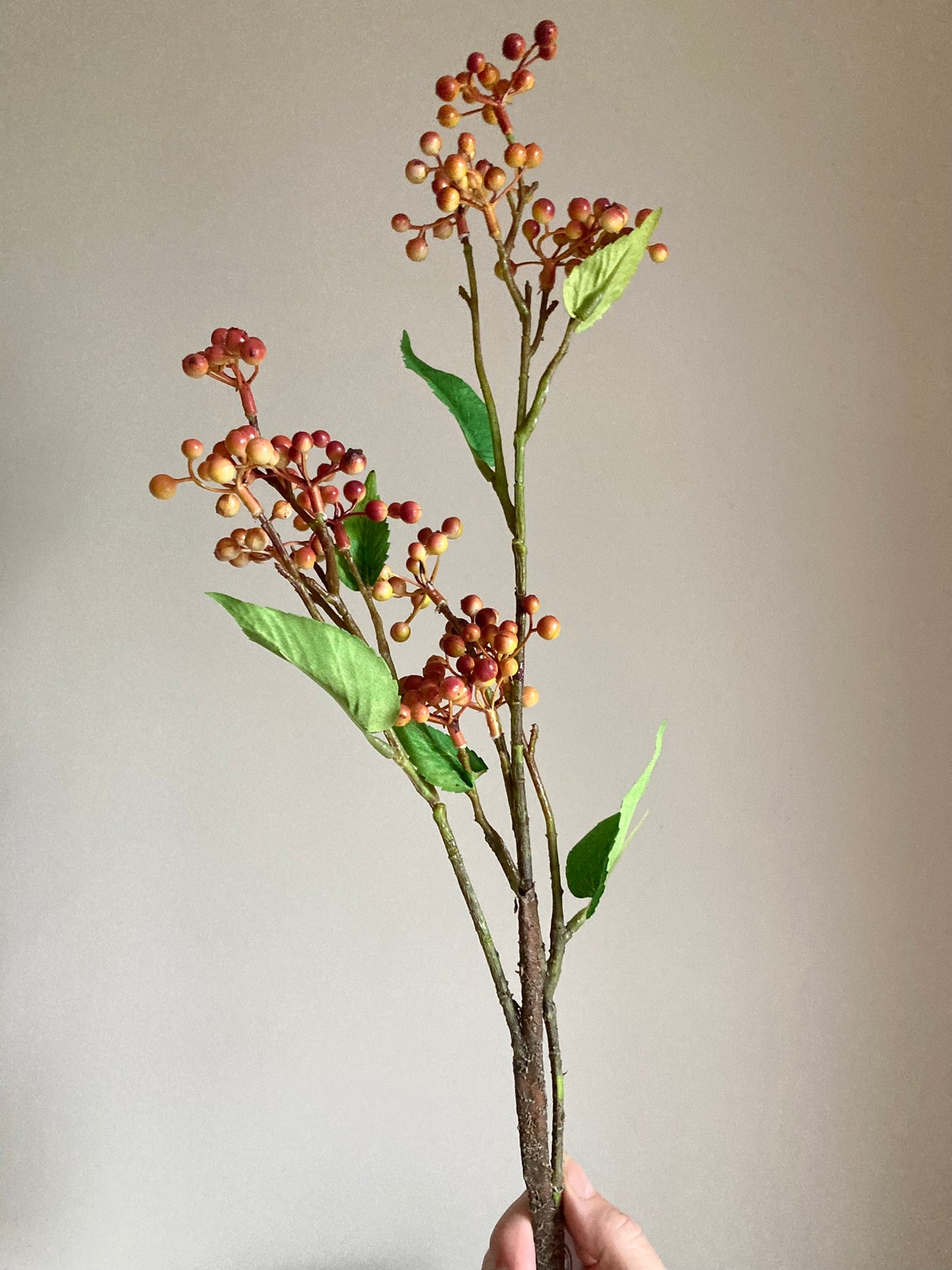 Orange Berry Stems