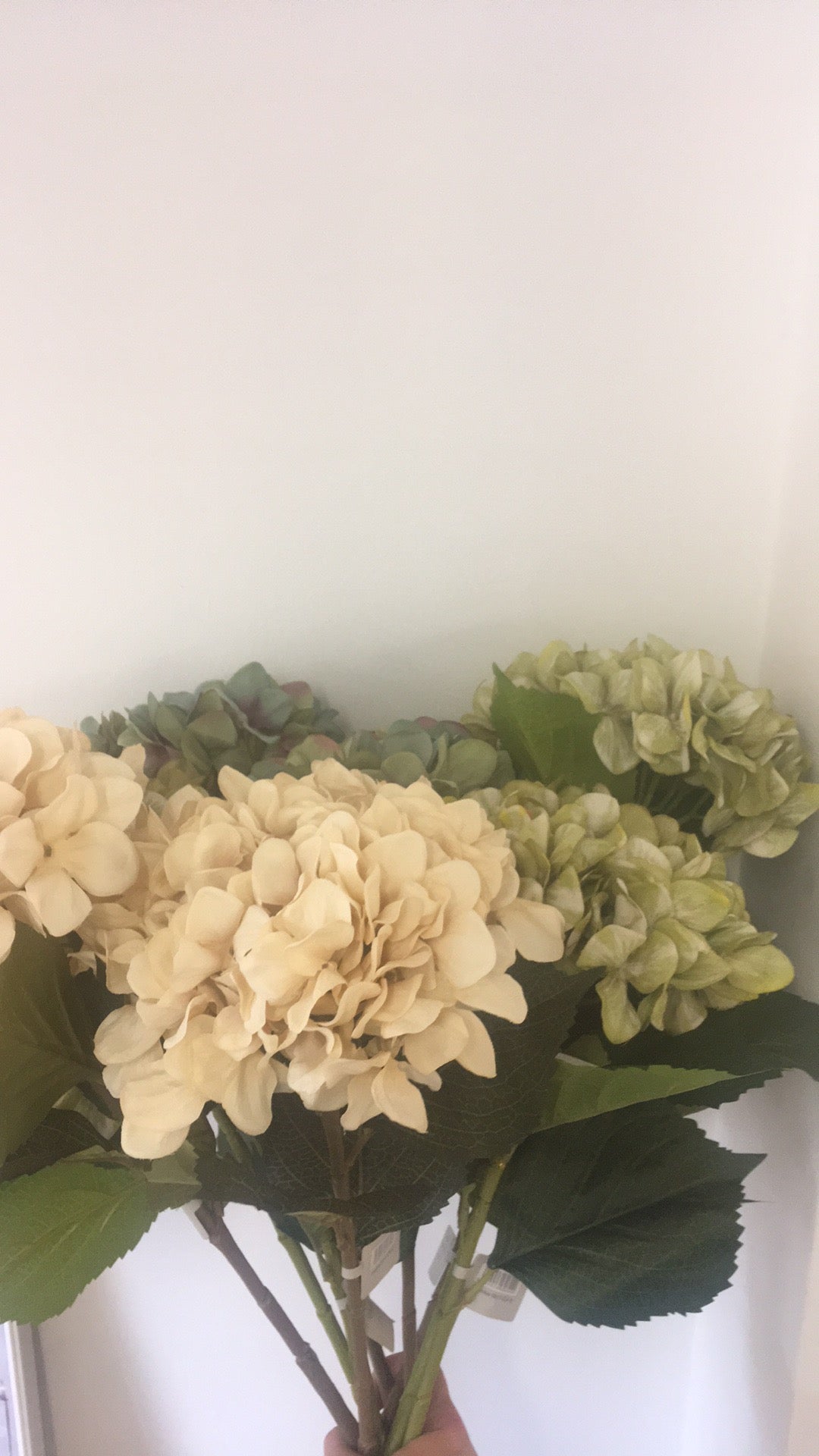 Hydrangea faux steam - green