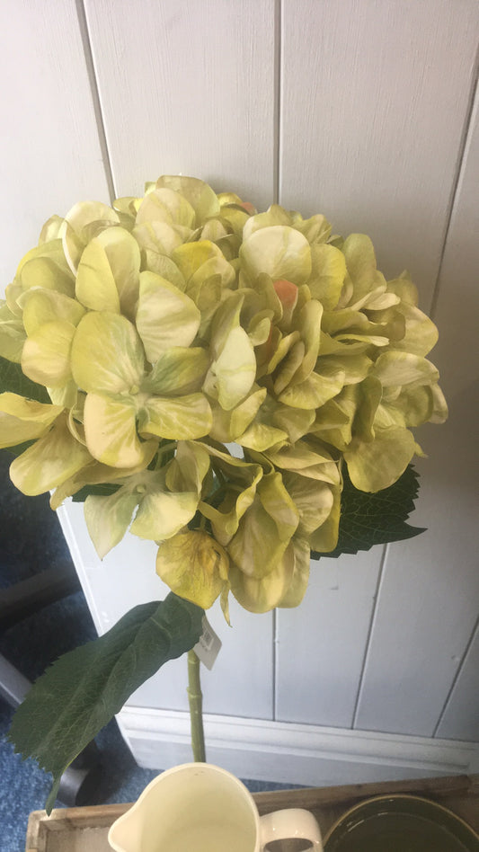 Hydrangea faux steam - green