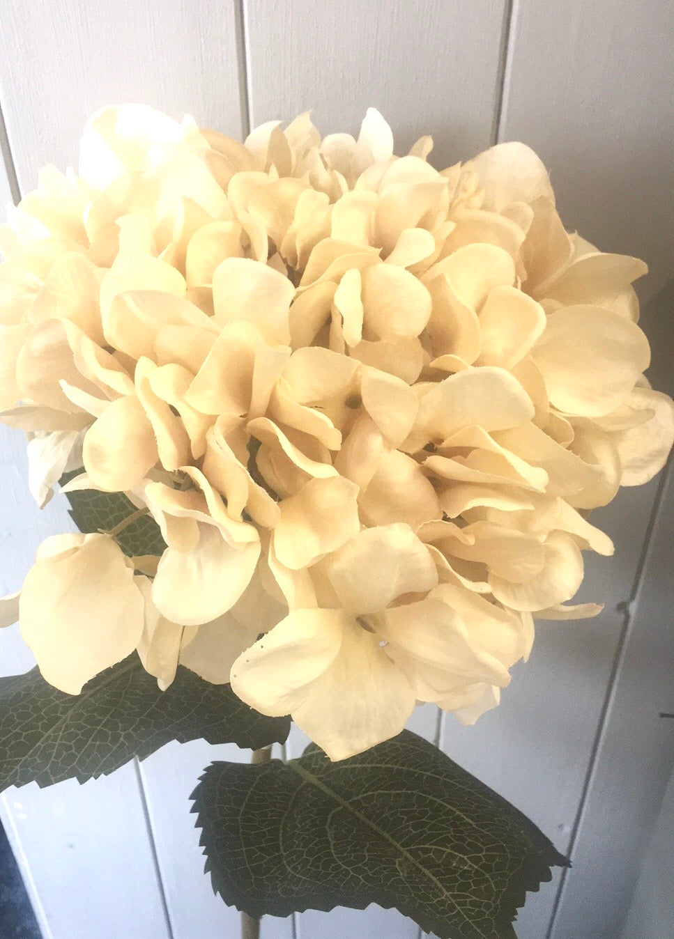 Hydrangea faux stem - cream