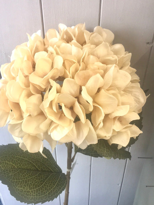 Hydrangea faux stem - cream