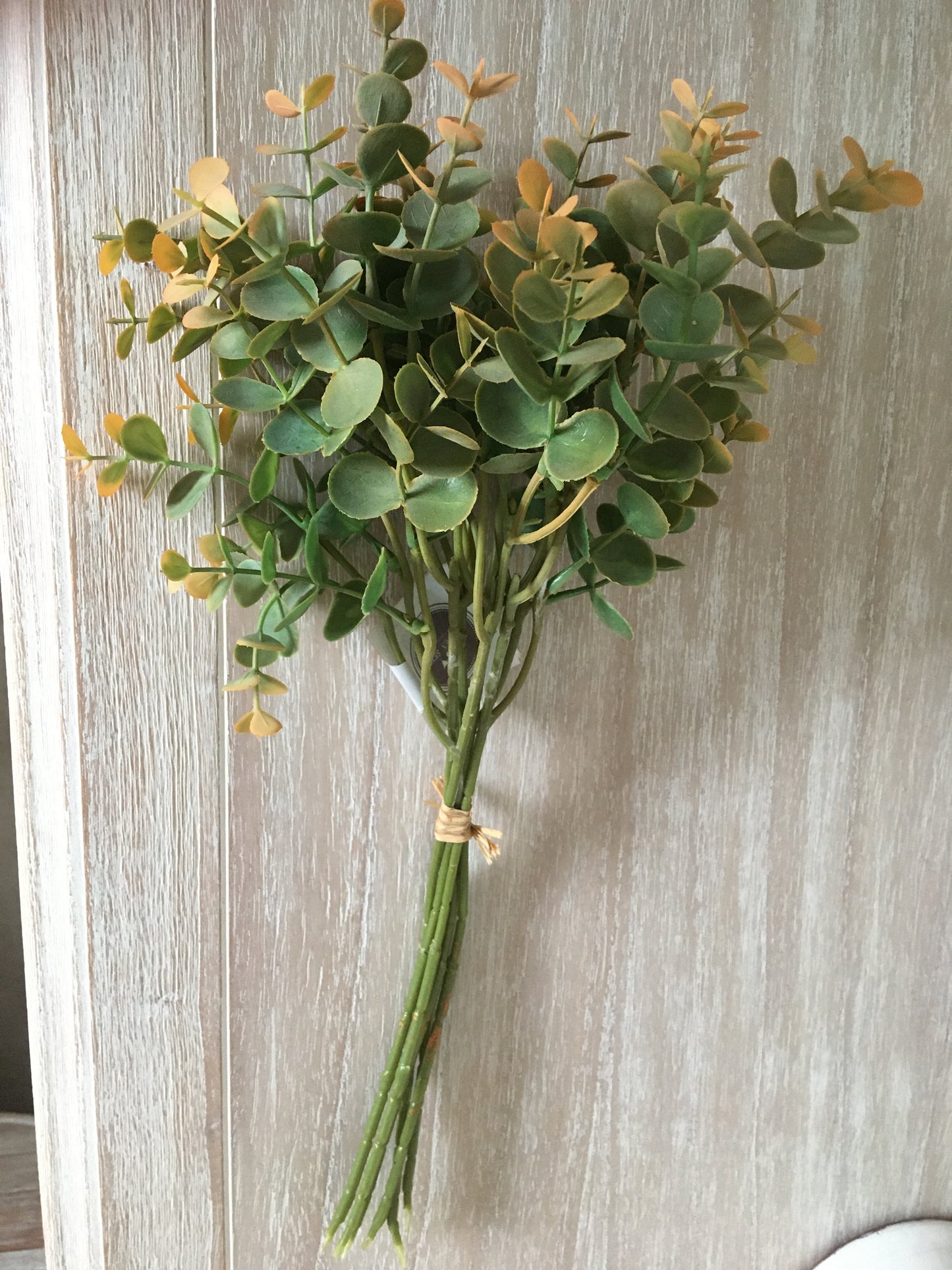 Eucalyptus