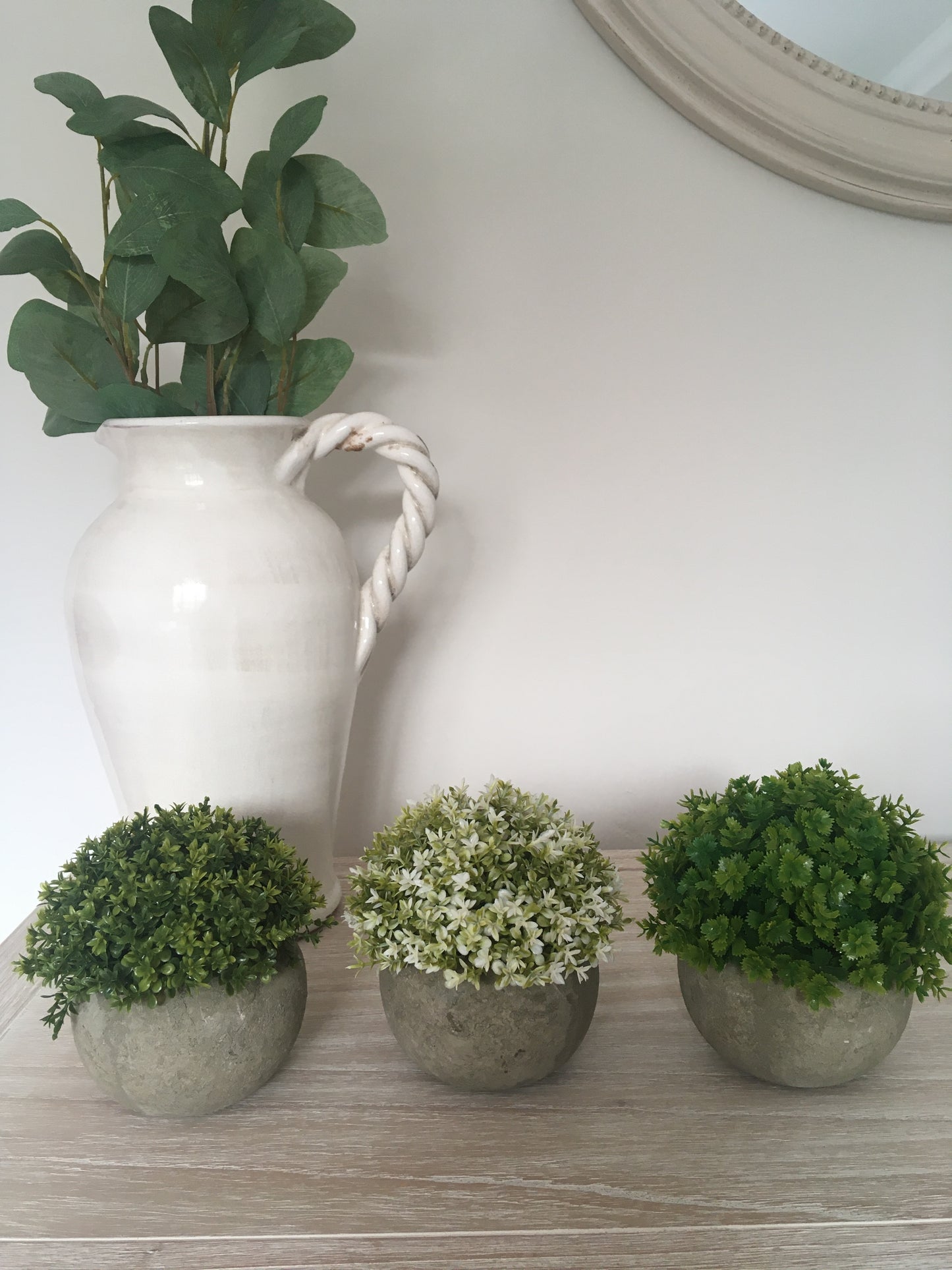 Green Plant in Stone Effect Pot