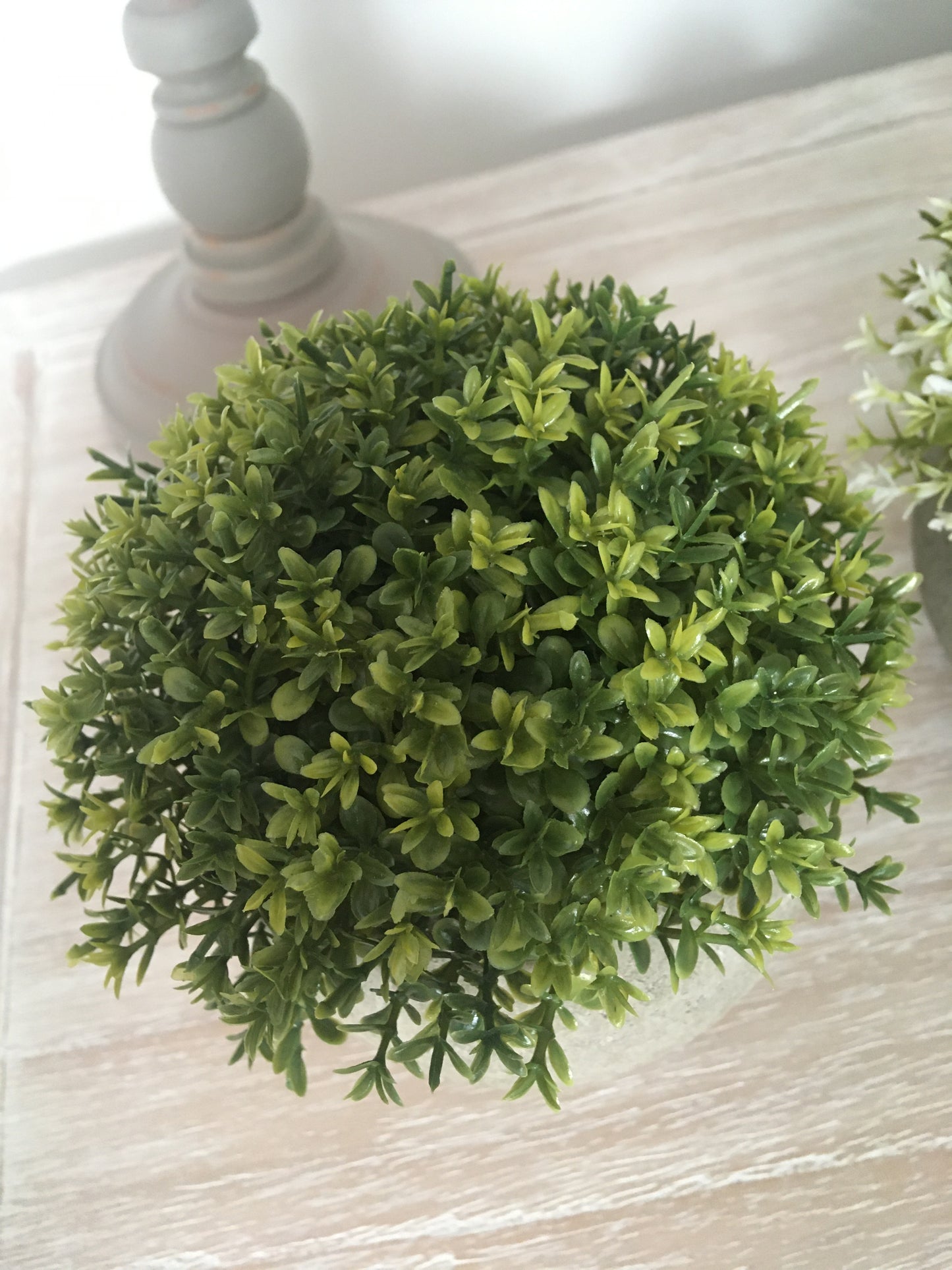 Green Plant in Stone Effect Pot