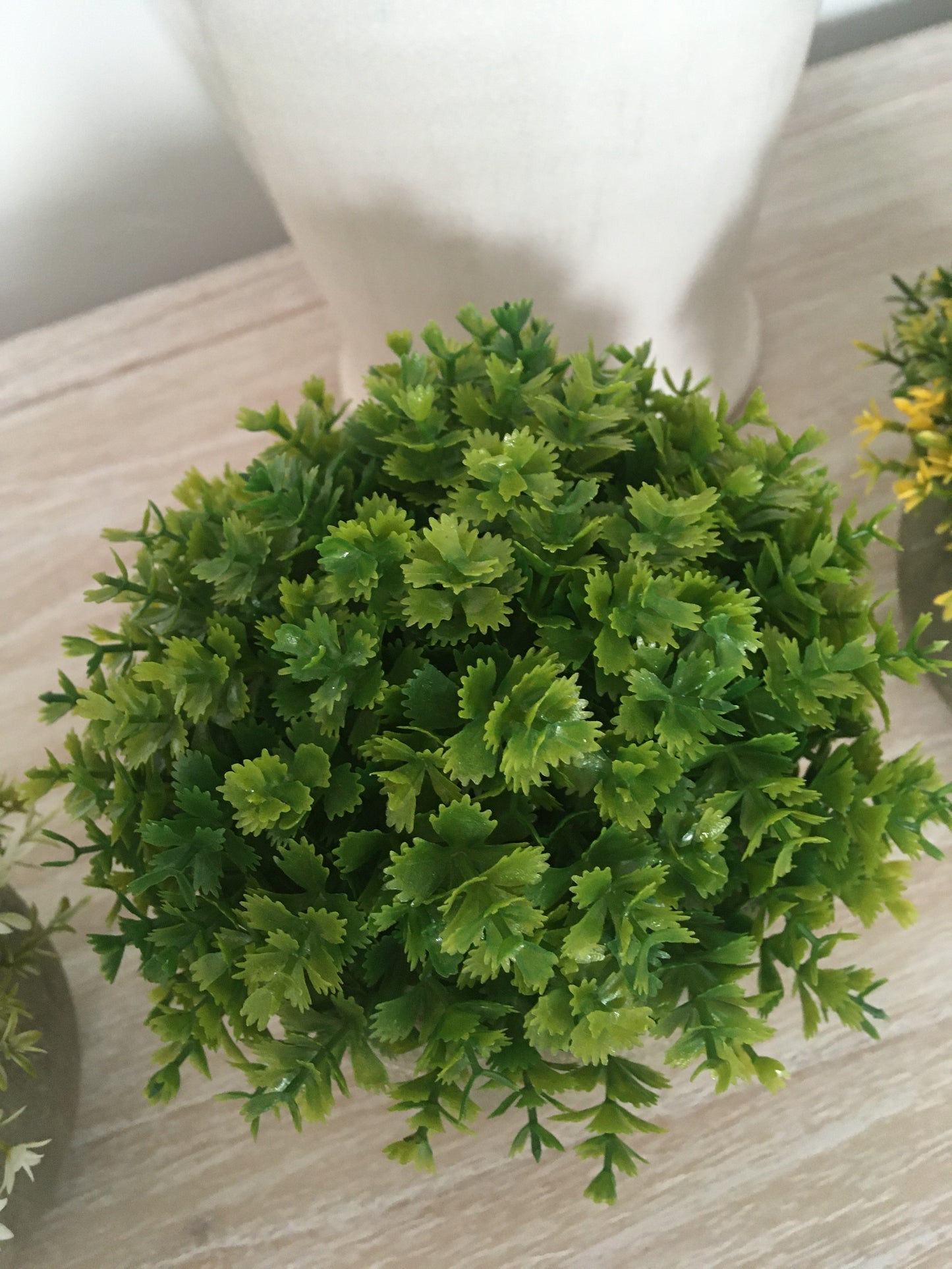 Green Plant in Stone Effect Pot