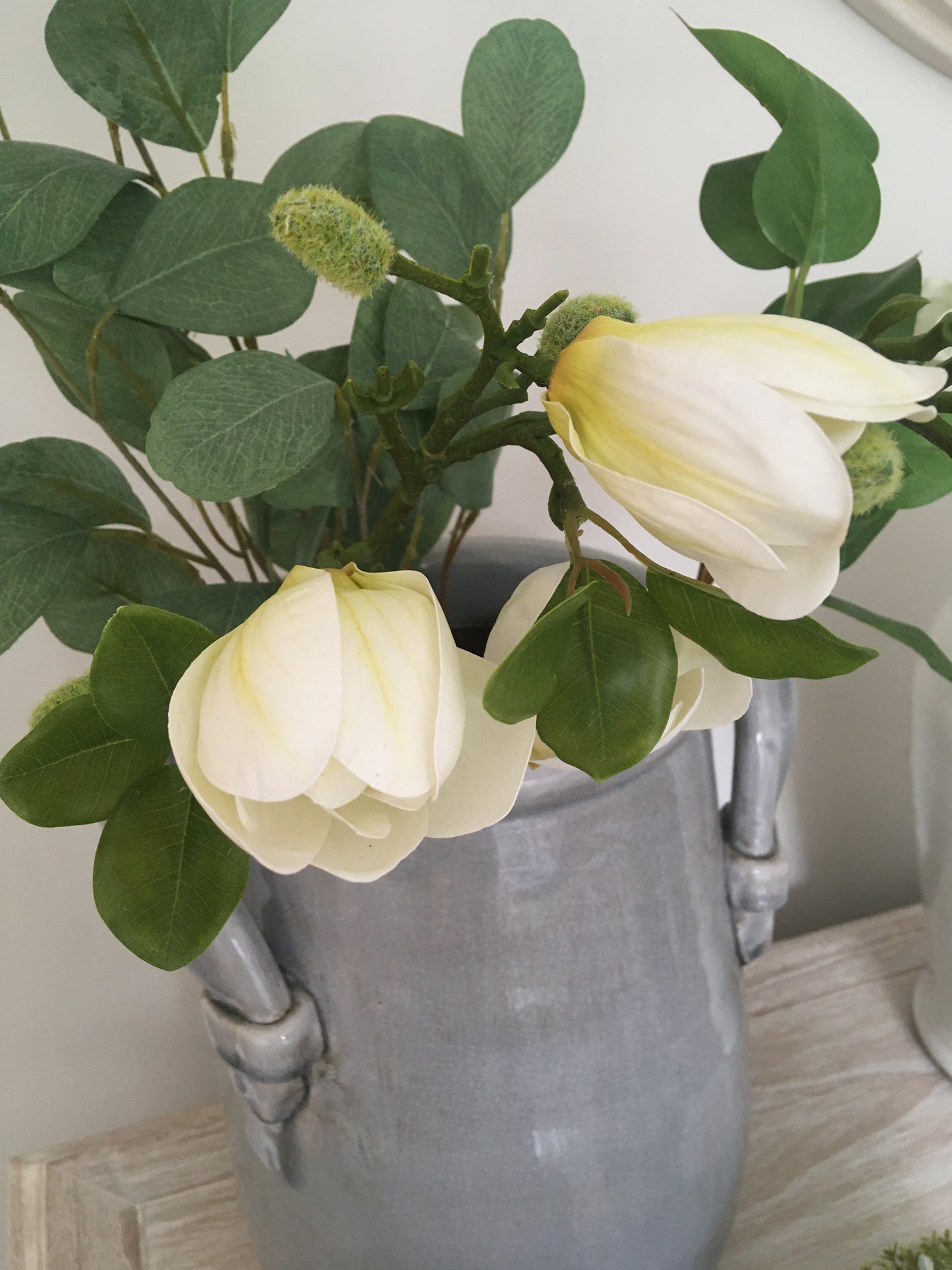 Magnolia Stem