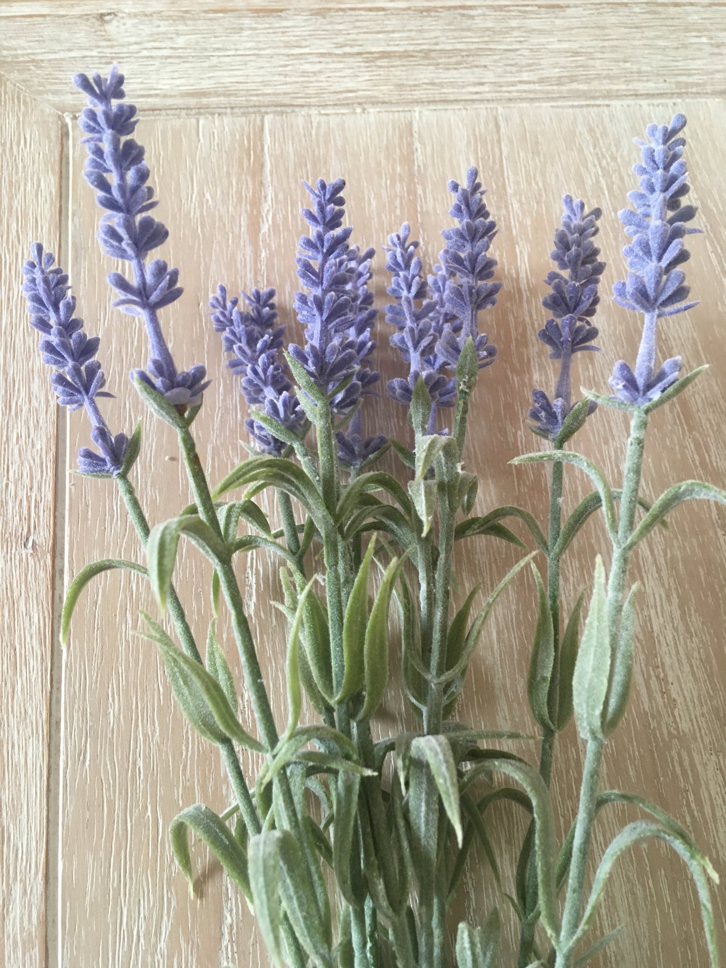 Lavender bunch