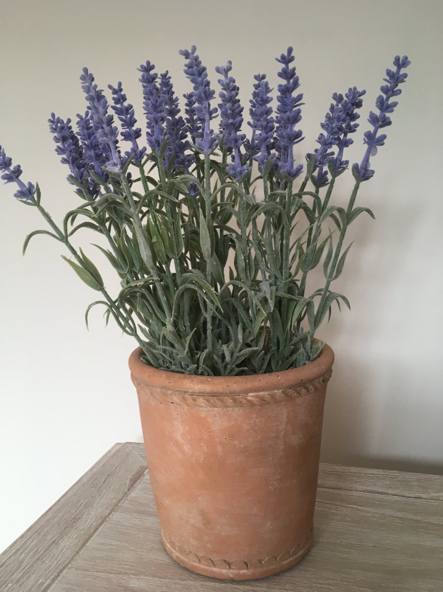 Lavender bunch