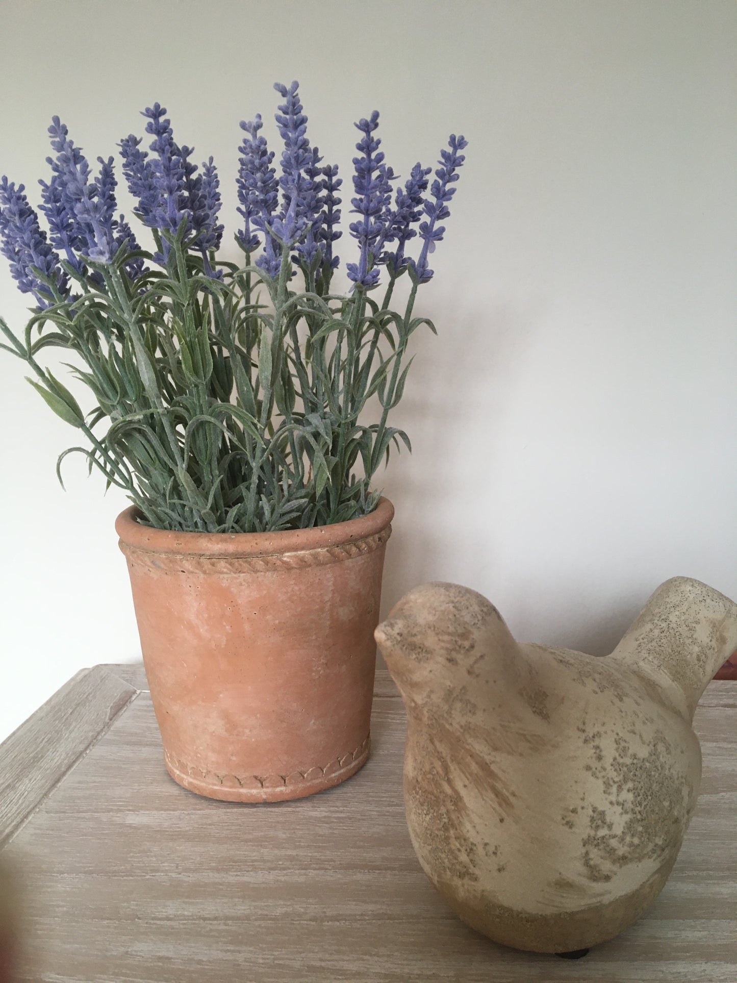 Terracotta Pot