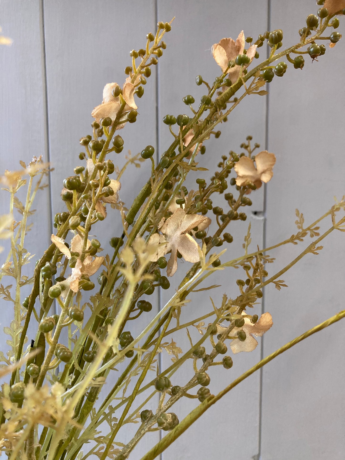 Beige stems