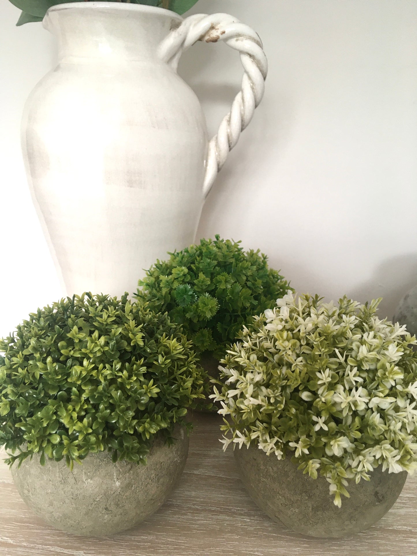 White and Green Plant in Stone Effect Pot