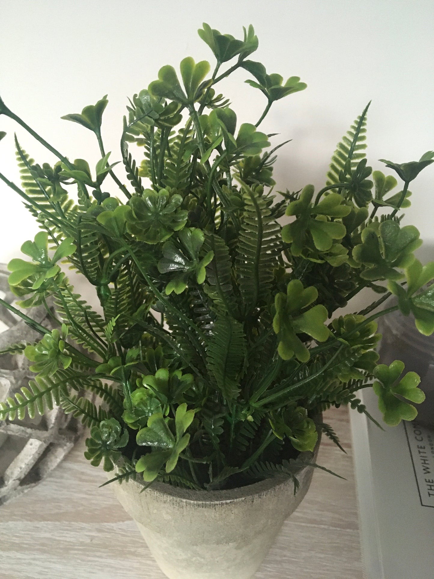 Potted Plant