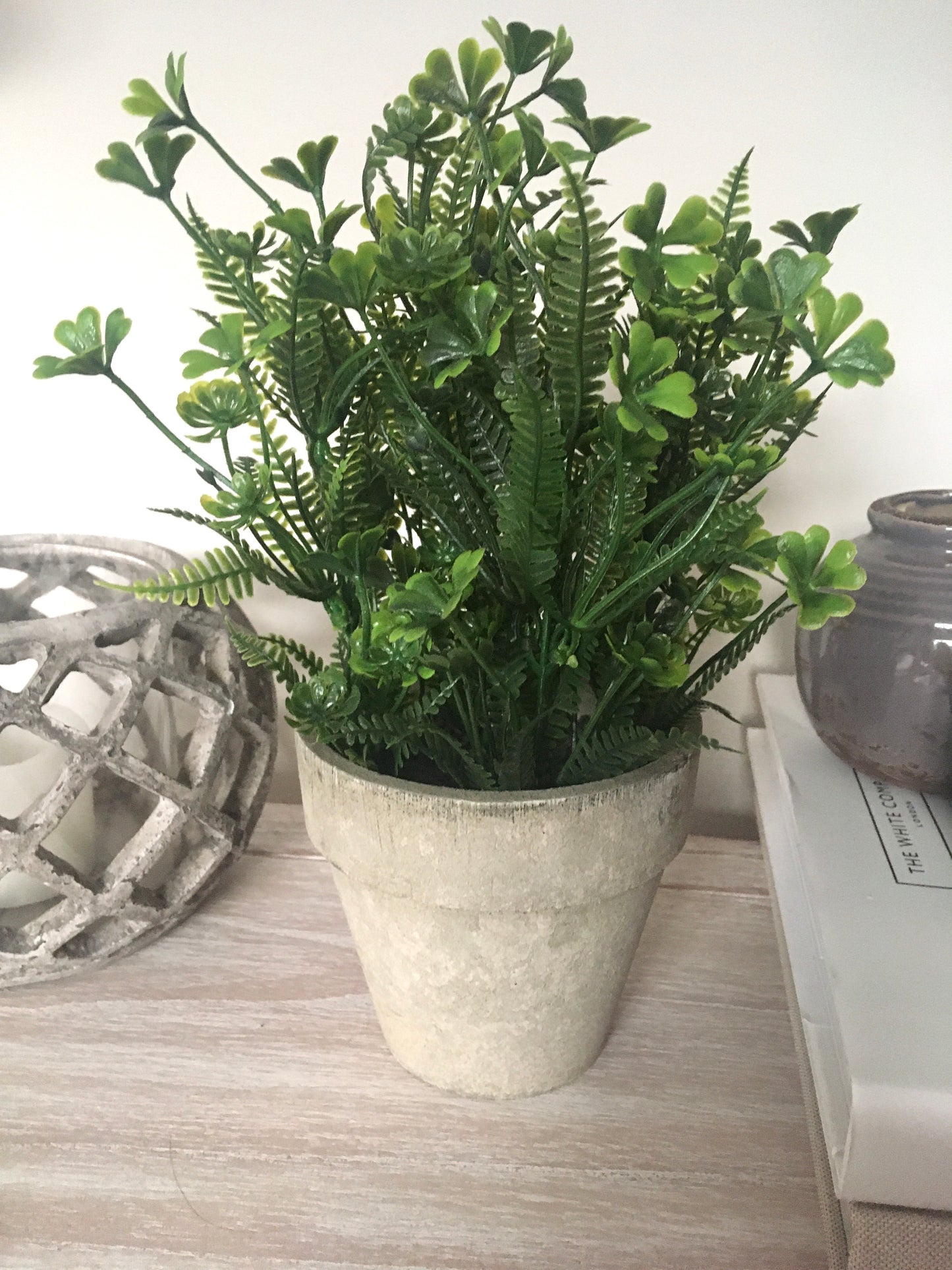 Potted Plant