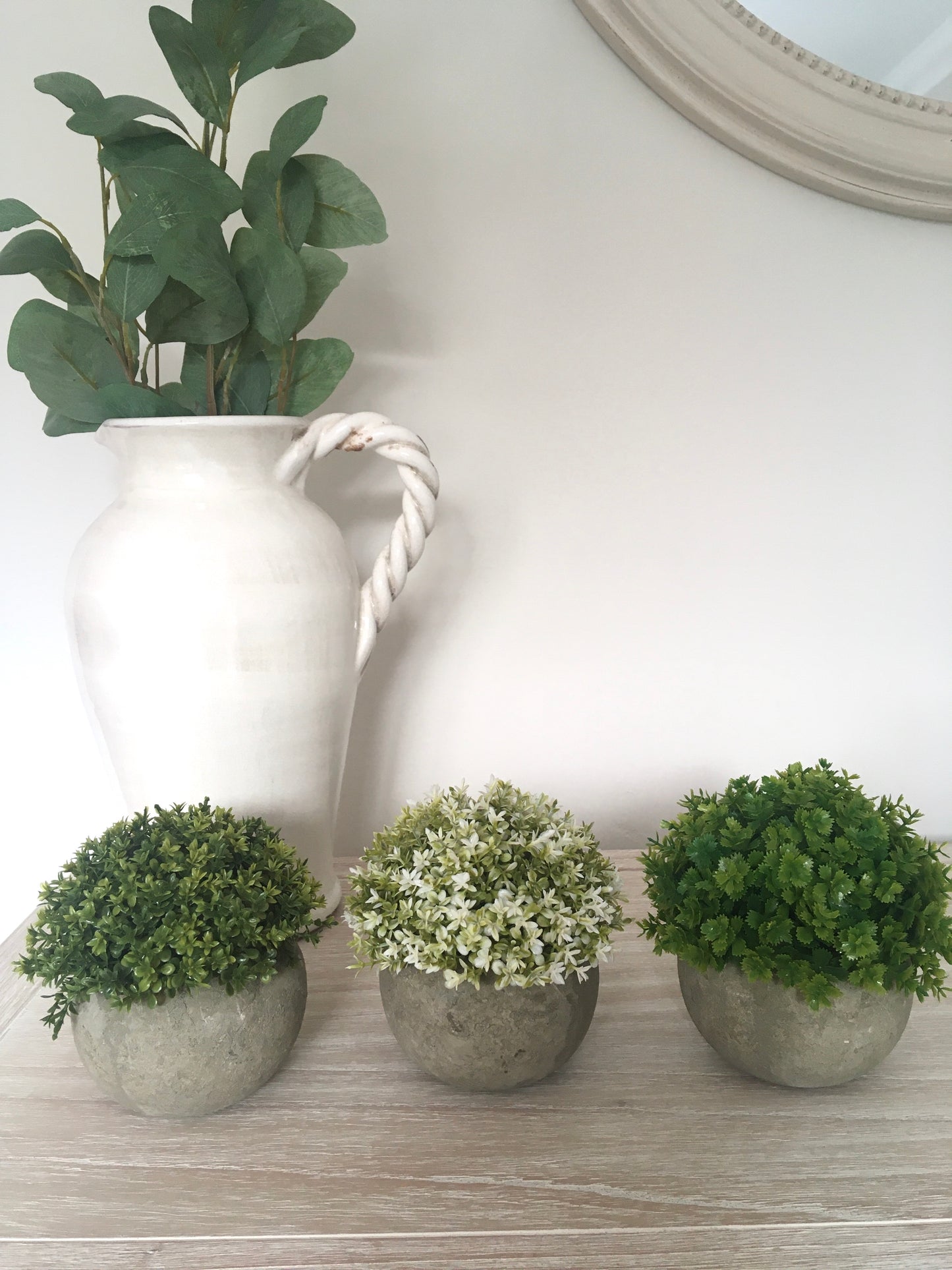Green Plant in Stone Effect Pot