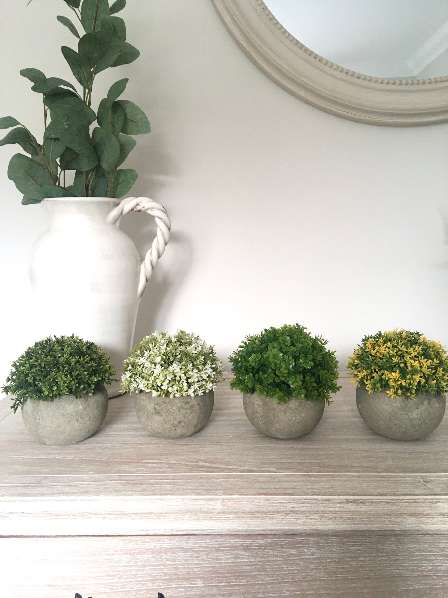 Yellow and Green Plant in Pot