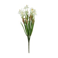 White narcissus bunch