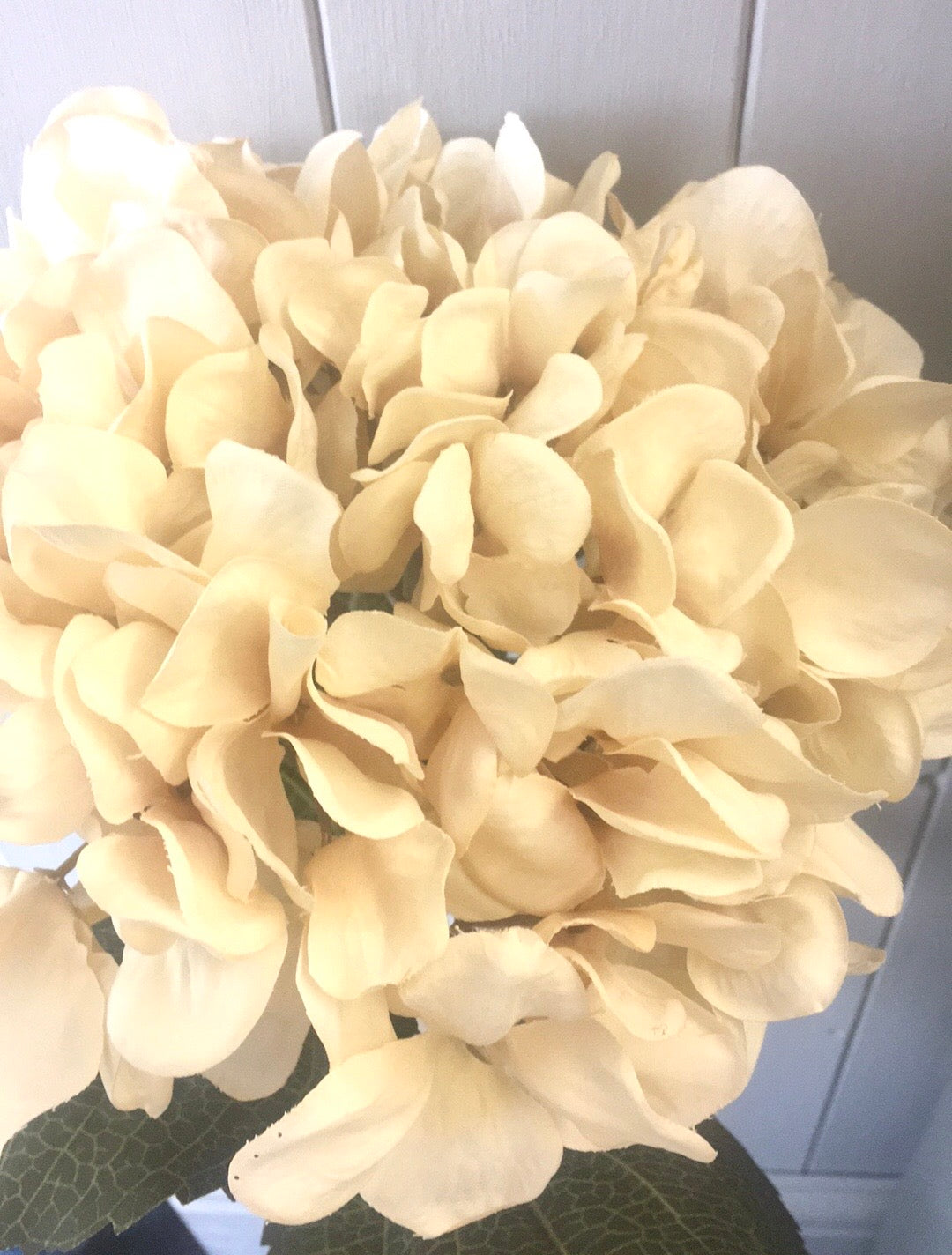 Hydrangea faux stem - cream