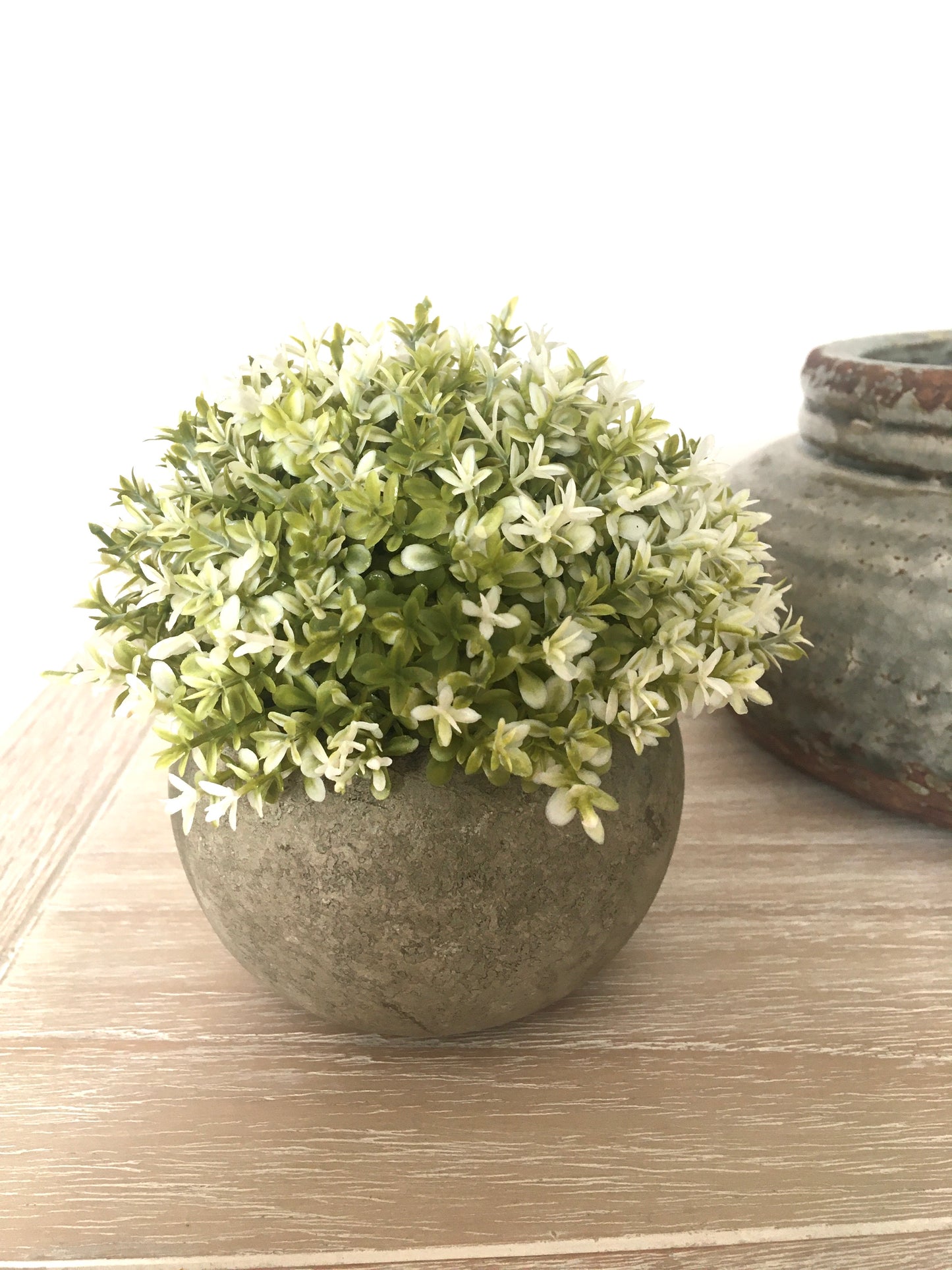 White and Green Plant in Stone Effect Pot