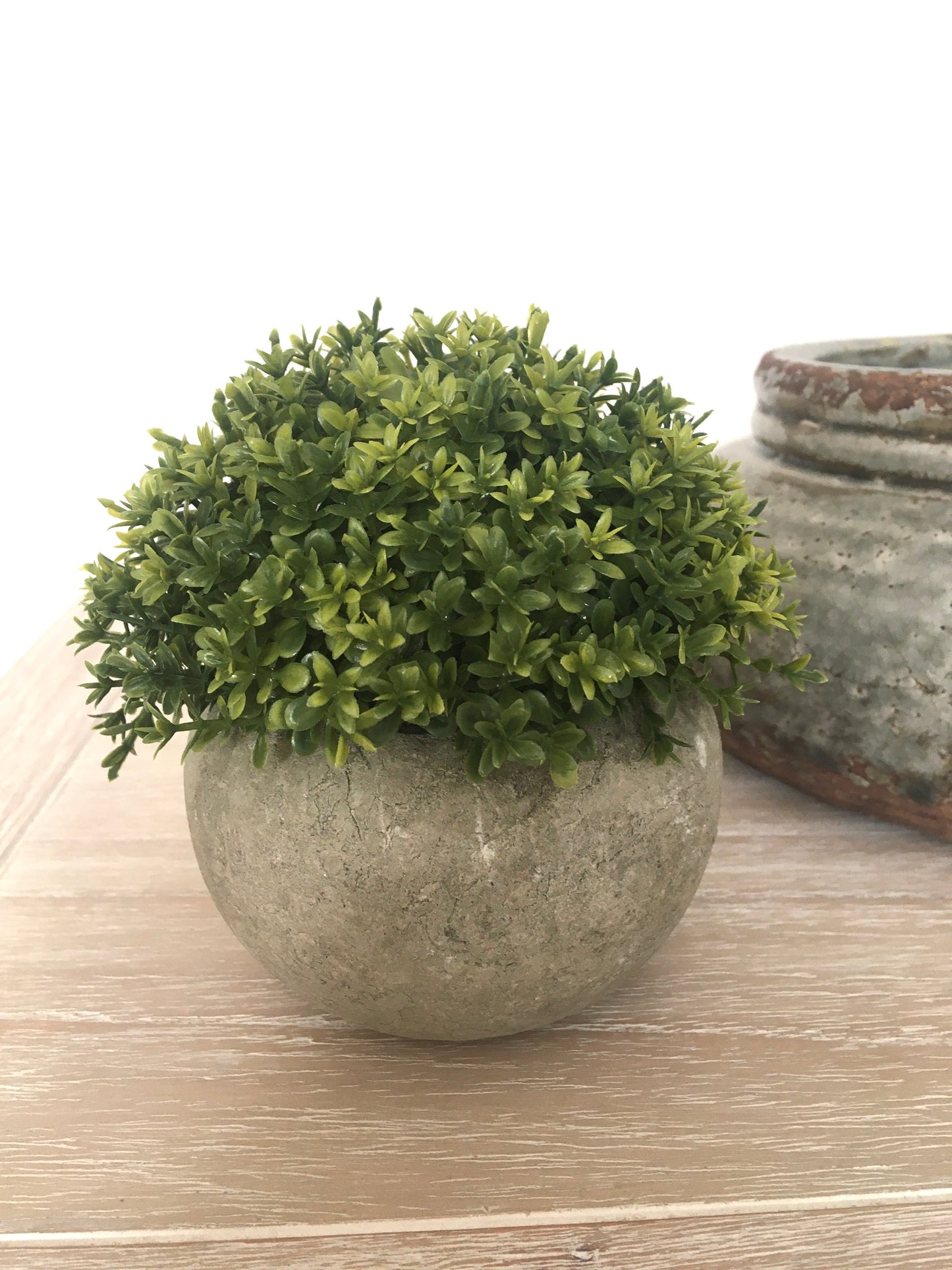 Green Plant in Stone Effect Pot