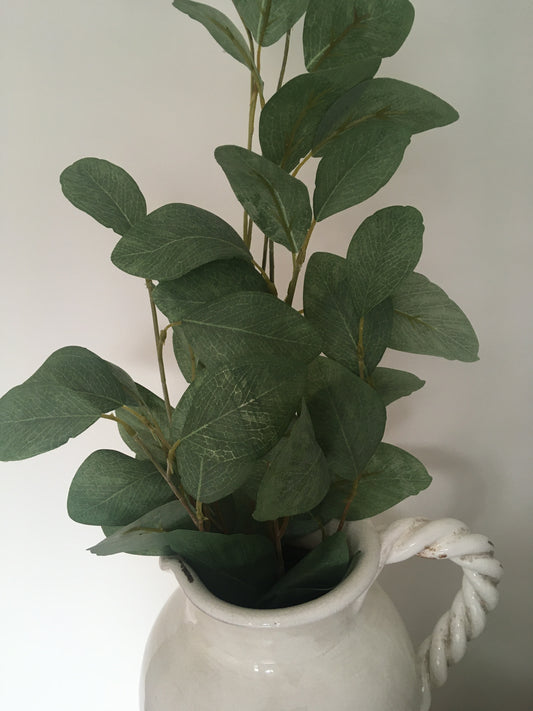Eucalyptus Large Leaf